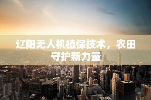 辽阳无人机植保技术，农田守护新力量